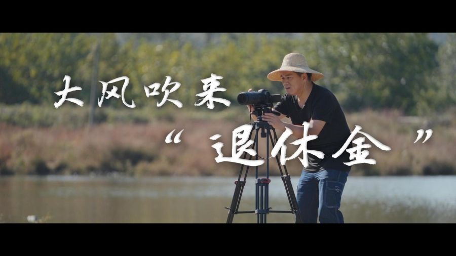  球盟会能源第八届微视频大赛